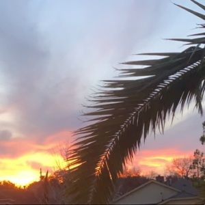 Meet your Posher, Jada